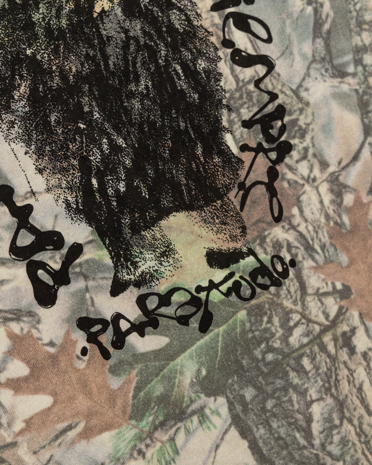 Hidden in Plain Sight T-Shirt: Camo