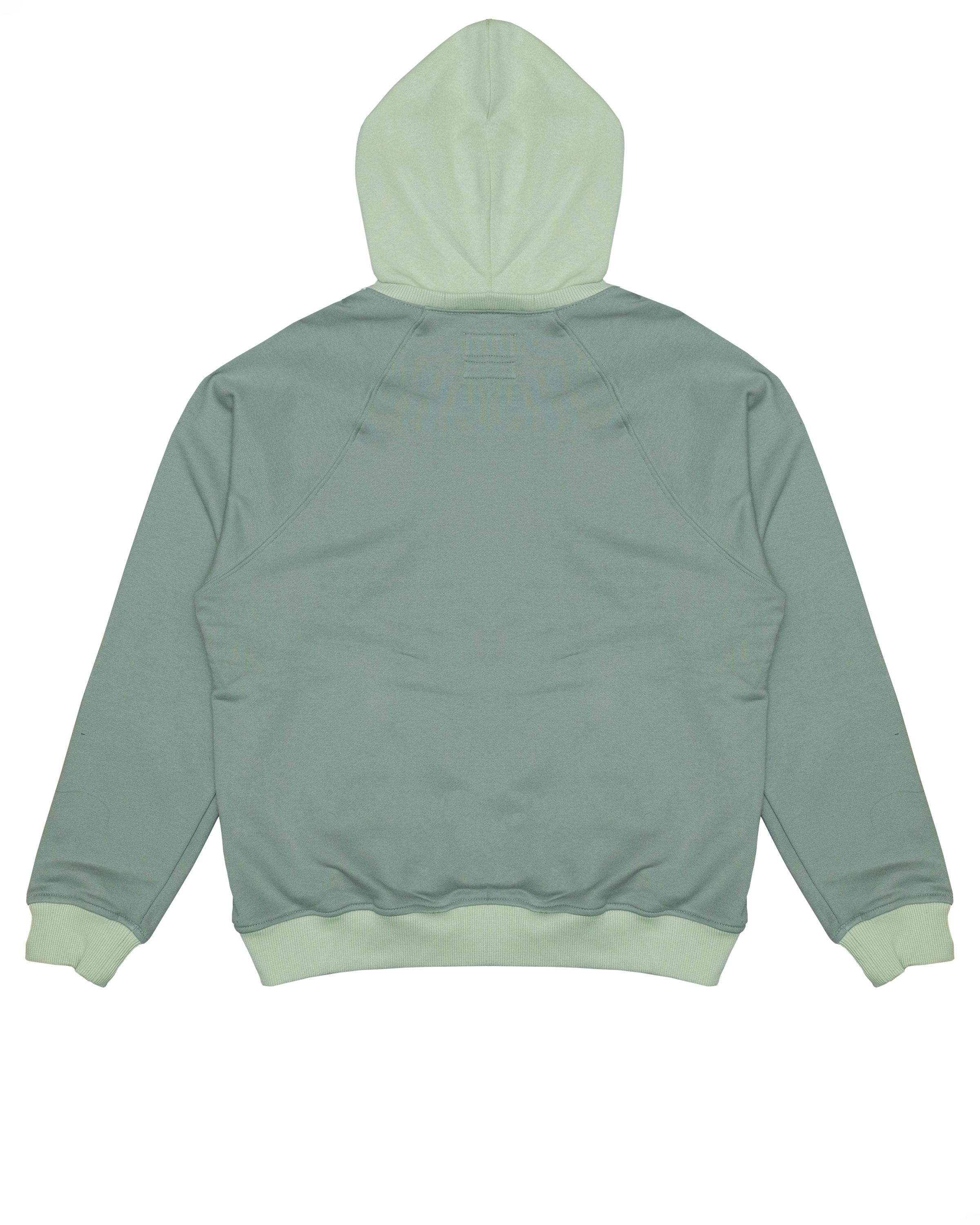 Sage green/contrasting green hooded sweatshirt